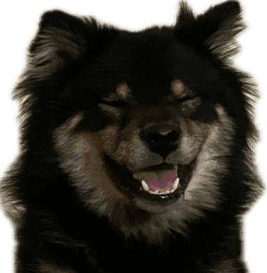 Kurokoge the campaign mascot