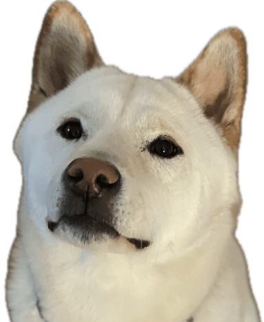 Okome the campaign mascot